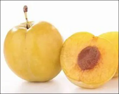 Quel est ce fruit en M, une petite prune jaune et ronde très répandue en Lorraine ?