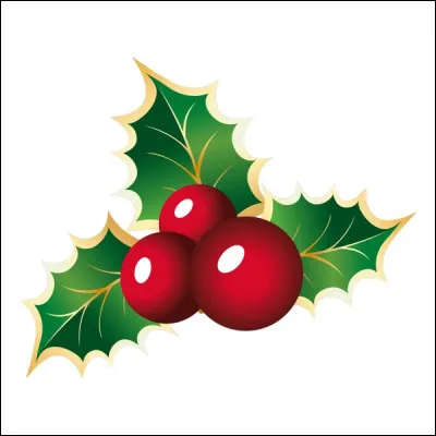 Quel est le nom de cet élément de la nature ?