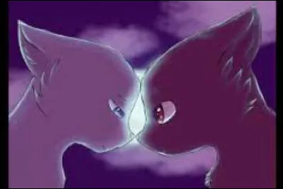 Mais Lune Bleue, désormais guerrière, se remet de ses épreuves. Elle obtient une apprentie. Mais quel est son nom ?