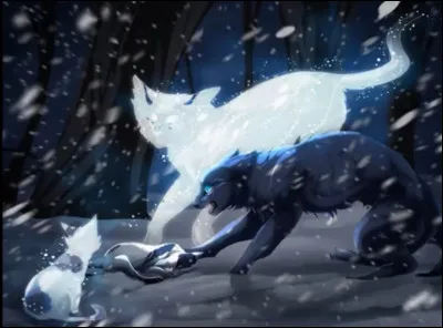 Lequel de ses chatons va mourir très tôt ?