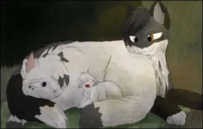 Qui est le neveu dÉtoile Bleue ?