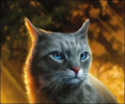 Qui est loncle dÉtoile Bleue (le frère de sa mère) ?