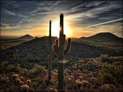 Quelle est ta température préférée ?