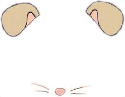 Si je vous dis "oreille de souris", à quelle fleur pensez-vous ?