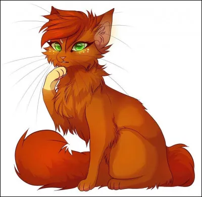 Quels chats ont un lien de parenté avec Poil dÉcureuil ?