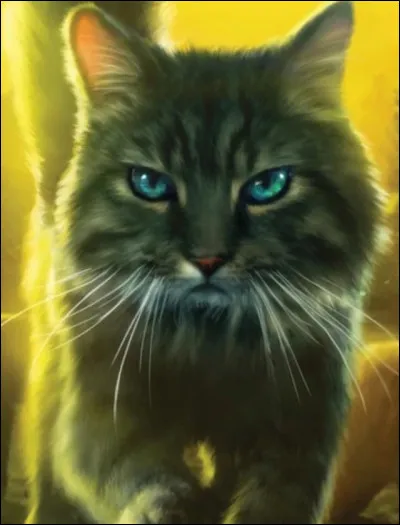 Qui est de la famille dÉtoile de Brume ?