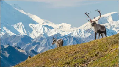 Où préfères-tu vivre ?