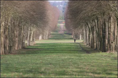 Petite raffarinade au passage, à l'adresse de l'infortuné Fillon, ayant perdu ''La Lanterne'' au profit d'Iznog... pardon ! de N. Sarkozy, et ce à la demande expresse et inconditionnelle de ce dernier. Retrouvez laquelle !