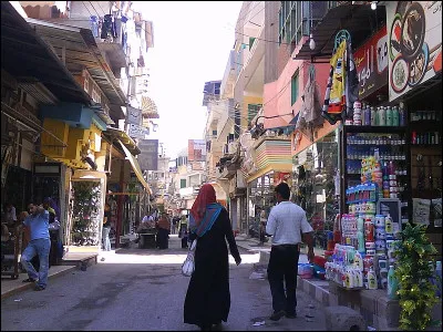 Le nom vulgaire de la bergeronnette à collier, c'est...