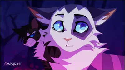 Qui sont ces deux chats ou chattes ?