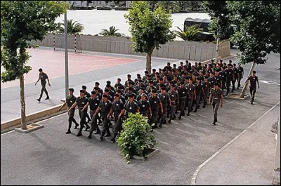 Militaire : en quelle année l'obligation du service militaire a-t-elle été abolie en France ?