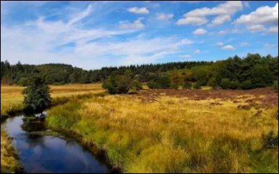 Millevaches : où est situé le plateau de Millevaches ?