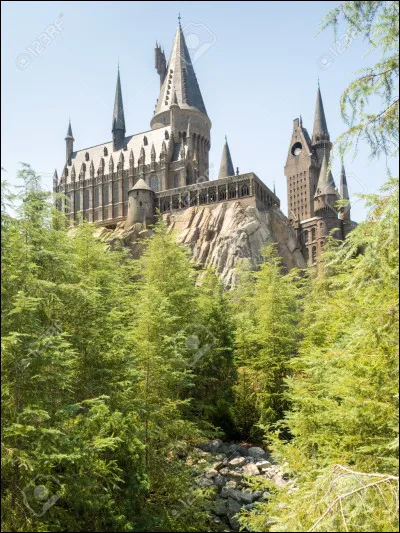 De quelle maison est Harry Potter à Poudlard ?