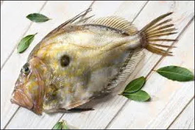 Au saint (paraît-il le prince des apôtres), on ajoute un prénom pour obtenir un poisson. Lequel ?