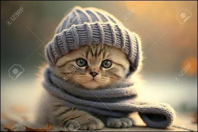 Avec quoi voudrais-tu que cela ait un rapport ?