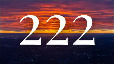 Et qui sont les auteurs ?