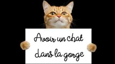 Que veut dire "avoir un chat dans la gorge" ?