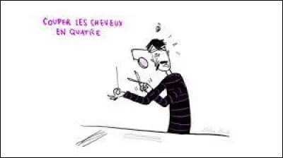 Que veut dire "couper les cheveux en quatre" ?