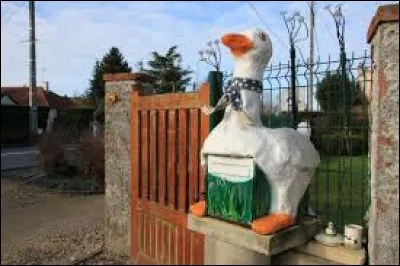 Quel concours est organisé tous les ans à Saint-Martin-d'Abbat, dans le Loiret ?