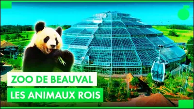 Parmi ces animaux, lequel ne vit pas à Beauval ?