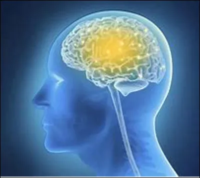 Quelle est cette spécialité médicale en N qui étudie les maladies du système nerveux et du cerveau ?