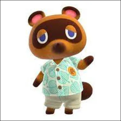 Qui est ce raton laveur ?