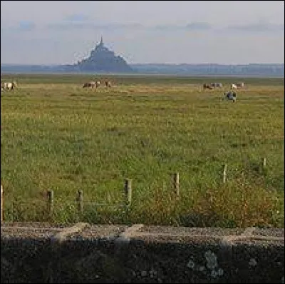 Voici le Mont-Saint-Michel, vu depuis le village de Genêts. Nous sommes dans le département ...