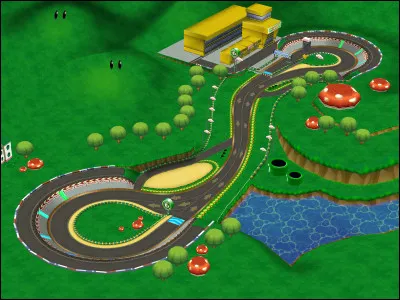 Quel circuit n'existe pas sur Mario Kart Wii ?