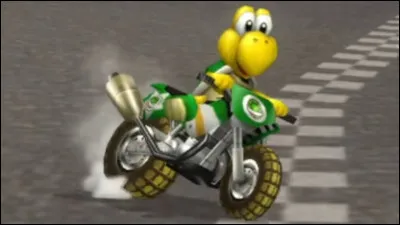 Quel personnage n'existe pas sur Mario Kart Wii ?
