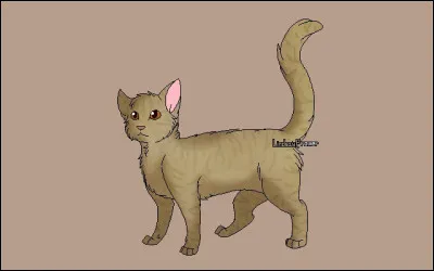 B : Bois de Frêne.
Quelle est la seule information vraie sur lui ?