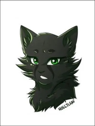 H : Hollyleaf.
De qui est-ce le nom anglais ?