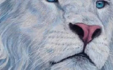 Quiz Animaux