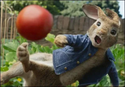 Quel est ton personnage de série ou dessin animé préféré ?