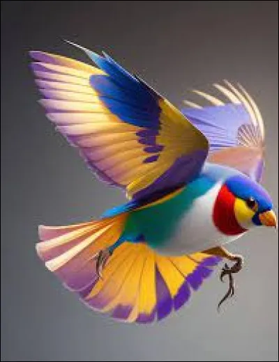 Quelle couleur préfères-tu ?