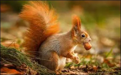 Quelle est ta taille ?