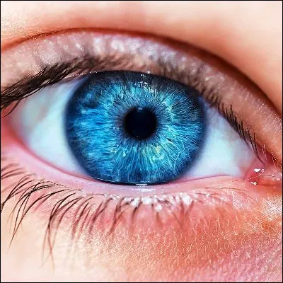 Quelle ancienne pr&eacute;sentatrice du "Journal de 13 heures" sur France 2 a repris l�animation de l�&eacute;mission "Des racines et des ailes" en 2014 ?