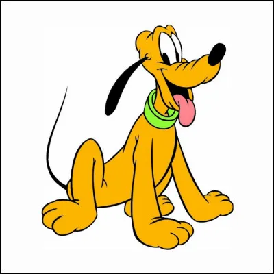 Une petite illustration pour une petite question simple !
Quel est ce chien ?