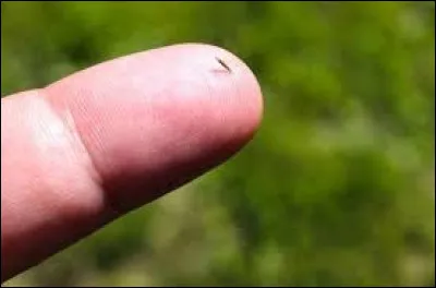 Que faire pour transformer le contenu de l'image en accessoire chaud ?