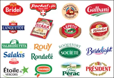 Quel est le leader mondial dans le secteur des produits laitiers ?