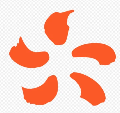 Quel est le leader mondial dans le secteur de l'électricité ?