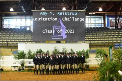 Aimes-tu le challenge ?