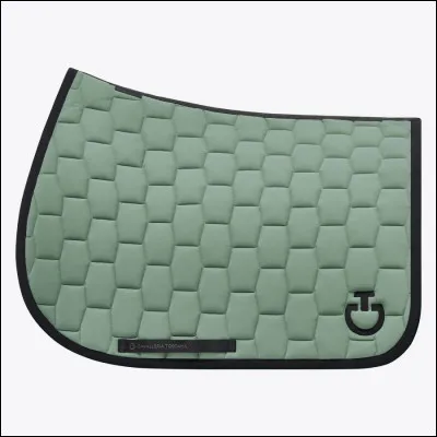 Es-tu un grand connaisseur de marques d'équitation ?