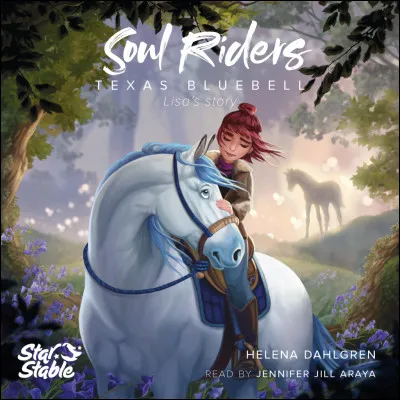 Quels sont les noms des Soul Riders ?