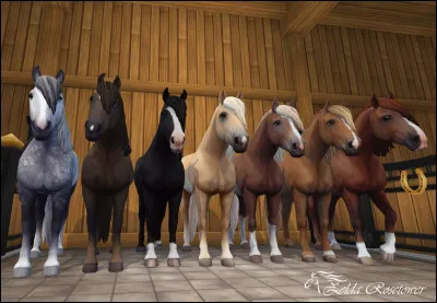 Quel est ce cheval ?