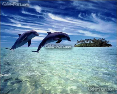 L'intrus est le seul mot au masculin.