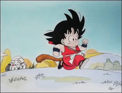 Quel âge a Goku la première fois qu'on le voit ?
