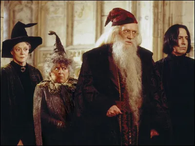 Quel est ton professeur pr&eacute;f&eacute;r&eacute; &agrave; Poudlard ?