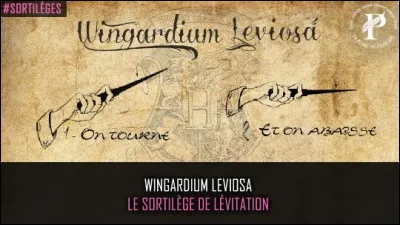 Quel est ton sortil&egrave;ge pr&eacute;f&eacute;r&eacute; ?