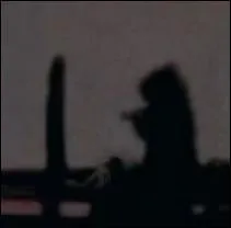 Dans quel Re-Animator voit-on, en ombre chinoise, un combat entre un rat et un sexe d'homme coup ?