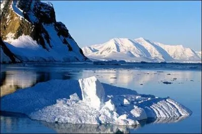 En Antarctique, on ne peut trouver :